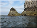 NT6087 : The North West Point of Bass Rock by Lisa Jarvis