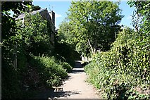SW8145 : Footpath to Kenwyn Church by Tony Atkin