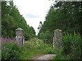 Driveway to Kilravock Castle