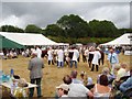 National Hereford Show