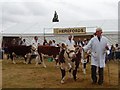 National Hereford Show