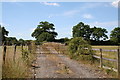 The road to Nowhere, Surrey