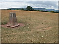 Trig point on Campston Hill