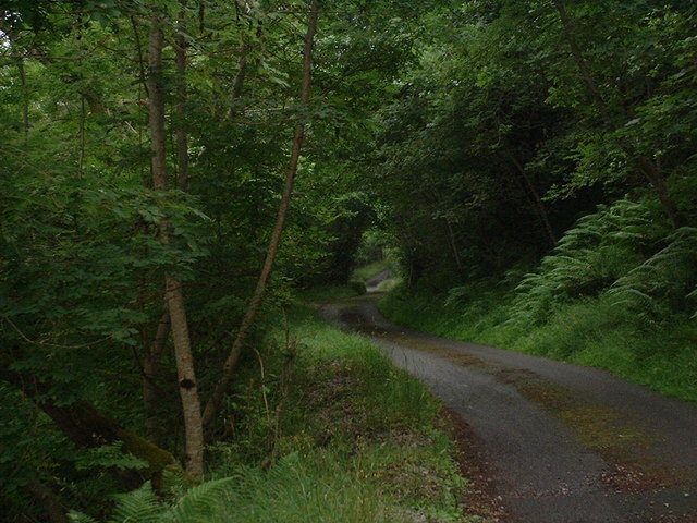 The road from Aultgowrie to Stronachroe
