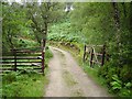 Gate, Alladale