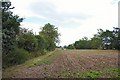 Ploughed field at Upthorpe