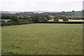 Pasture and Woodland