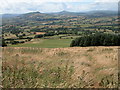 View to the west from Graig Syfyrddin