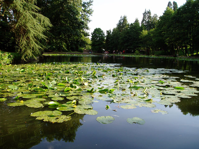 Lake at Stratford Park, Stroud