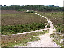 SU3906 : View north from Horestone Hill, New Forest by Jim Champion