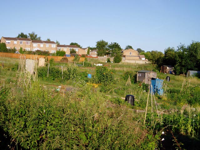 Bisley Old Road Allotments, Stroud