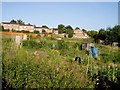 Bisley Old Road Allotments, Stroud