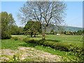 Embankment at Caersws