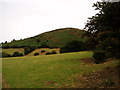 Moel y Gaer