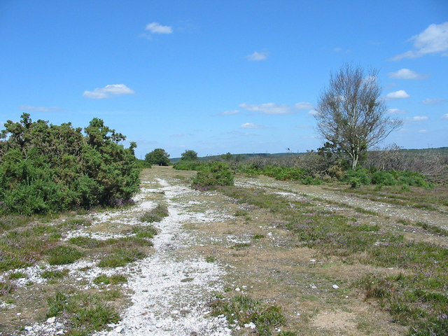 Wear and tear Godshill Ridge New Forest... © Clive Perrin :: Geograph ...