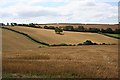 Cereal Cropland