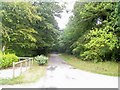 Lane through Cresselly Big Wood