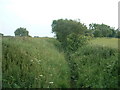 Ditch near Higher Silcock Farm