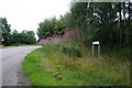 The bend by Crofts Farm turn off on the B9015.