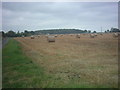 TM3467 : Straw baled in the field by Geographer