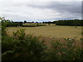 Looking towards Oaker Wood