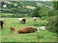 The Old Mill Stream, Branscombe