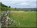 Wall on Mains of Fallie