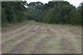 Bernwood Meadow, Bernwood Forest