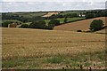 Mixed Farmland