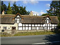 Thatched cottage in good order in Aymestrey