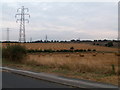 Field and Power Lines