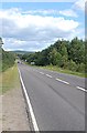 A95, Croftnahaven plantation