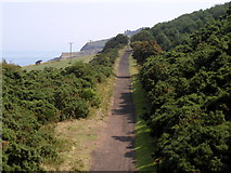 NZ9602 : The Old Railway to Ravenscar by Andy Beecroft