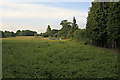 Fields along western side of Little Bull Lane, Waltham Chase