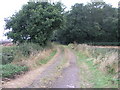 Path and Woods