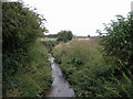 Whimpton Moor Brook