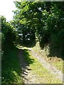 Lane, Kirthen Wood Farm, Townshend