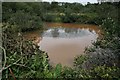 SW9460 : Pond on Goss Moor by Tony Atkin