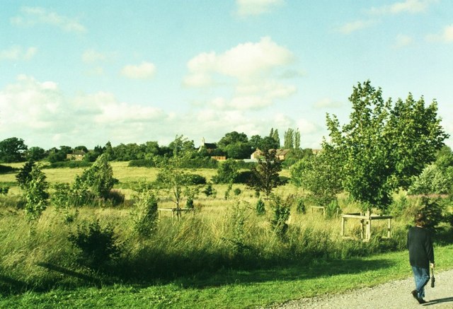 Arboretum at Southwick Country Park