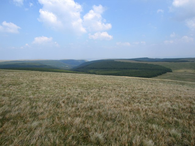 The edge of the forest above Euchan Water