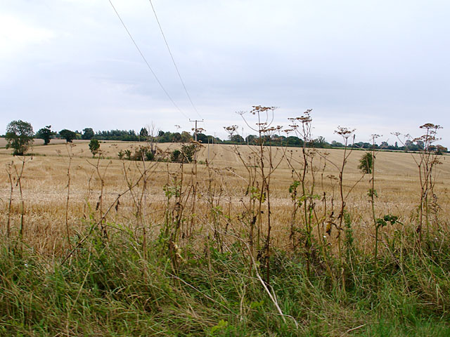Fields  near Manor Farm