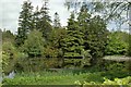 Pond below Balgray