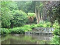 Cascade and Lake, Trevarno