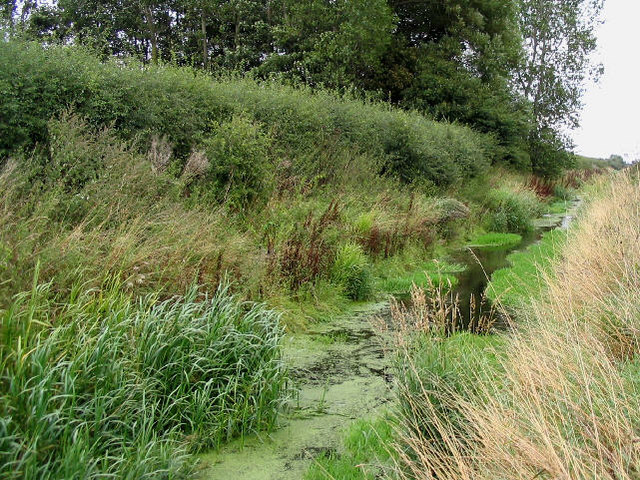 Drainage channel near Shotwick