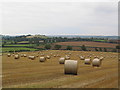 SP7695 : Straw bales, Leicestershire Round, near Cranoe by Tim Heaton