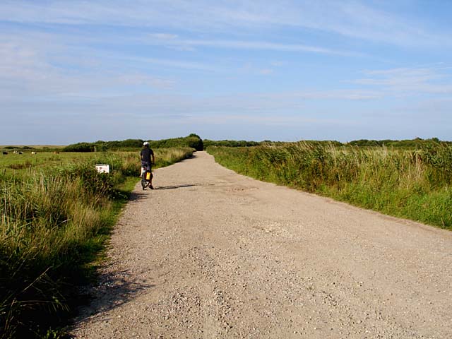 Track at Horsey Corner © Linda Bailey :: Geograph Britain and Ireland