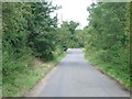 The lane from Gasthorpe, approaching Thetford Road (A1066)