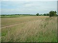 East Harling Fen