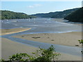 Fowey Estuary from St Winnow Point