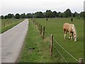 Footpath/Cycleway Adjacent to the Brampton Valley Way